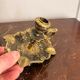 Paire Bougeoir Table Main Rat de cave Rococo Louis XV