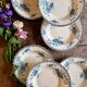 Set of 8 antique deep plates in ironstone, Royat from Sarreguemines.