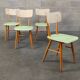 Lot de 4 chaises TON en bois , vert pastel et crème 1960
