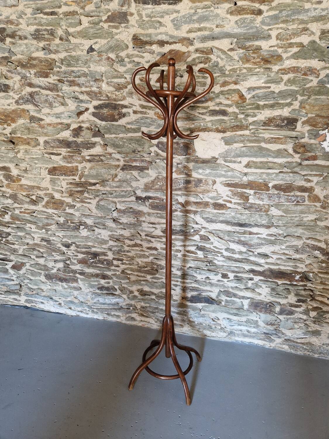 Old Baumann style parrot coat rack