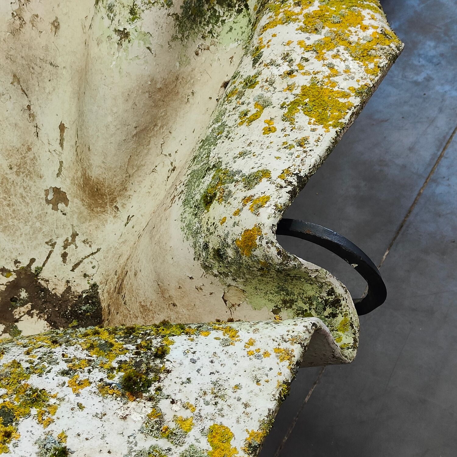 Elephant ear planter or Handkerchief, 1950 period by Willy Guhl