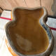Vintage dog pitcher
