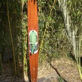 Ski nautique Reflex ancien pour décoration marine