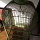 Cage à oiseaux