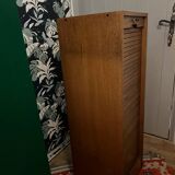 Vintage “notary” curtain cabinet