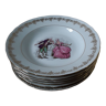 6 Berry porcelain plates