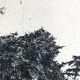 Nicole BOUHARMONT, Parc de Sceaux I, 2003-16. Drypoint signed in pencil