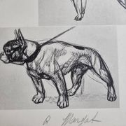 Planche illustrée, Études de chiens, signée André Margat, 1930