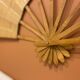 Giant bamboo and cane fan