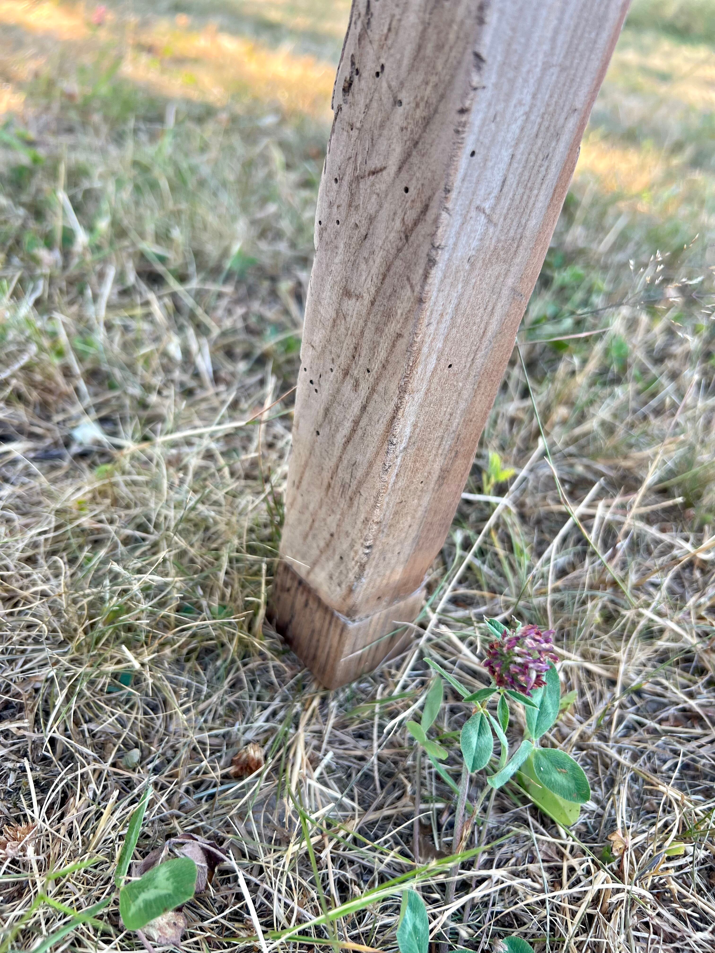 Grande table de ferme rénovée