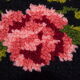Wool round carpet, 150cm