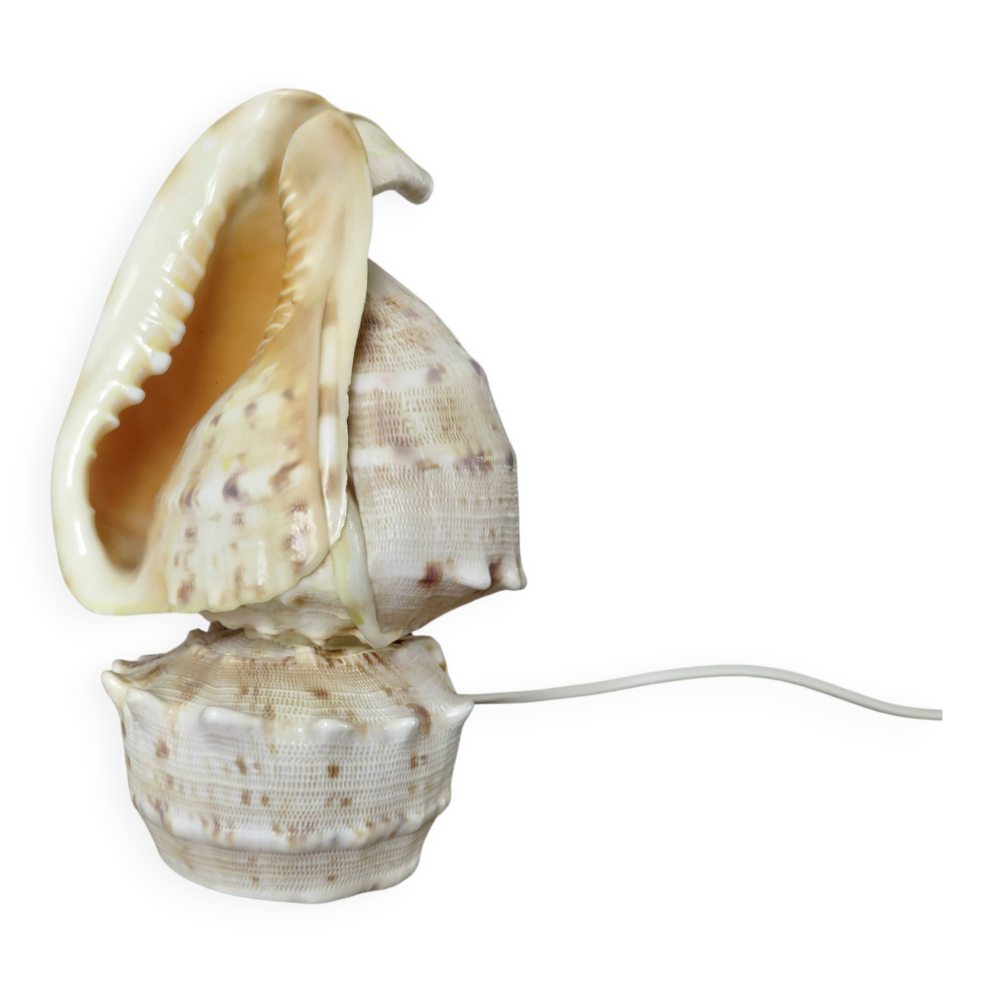 Shell lamp "cassis cornita" from the 1970s