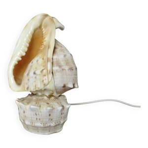Lampe coquillage ''cassis