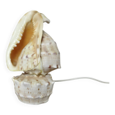 Shell lamp "cassis cornita" from the 1970s