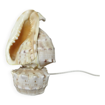 Shell lamp "cassis cornita" from the 1970s
