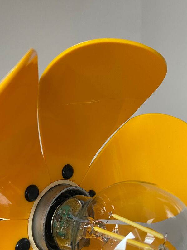Lustre pop