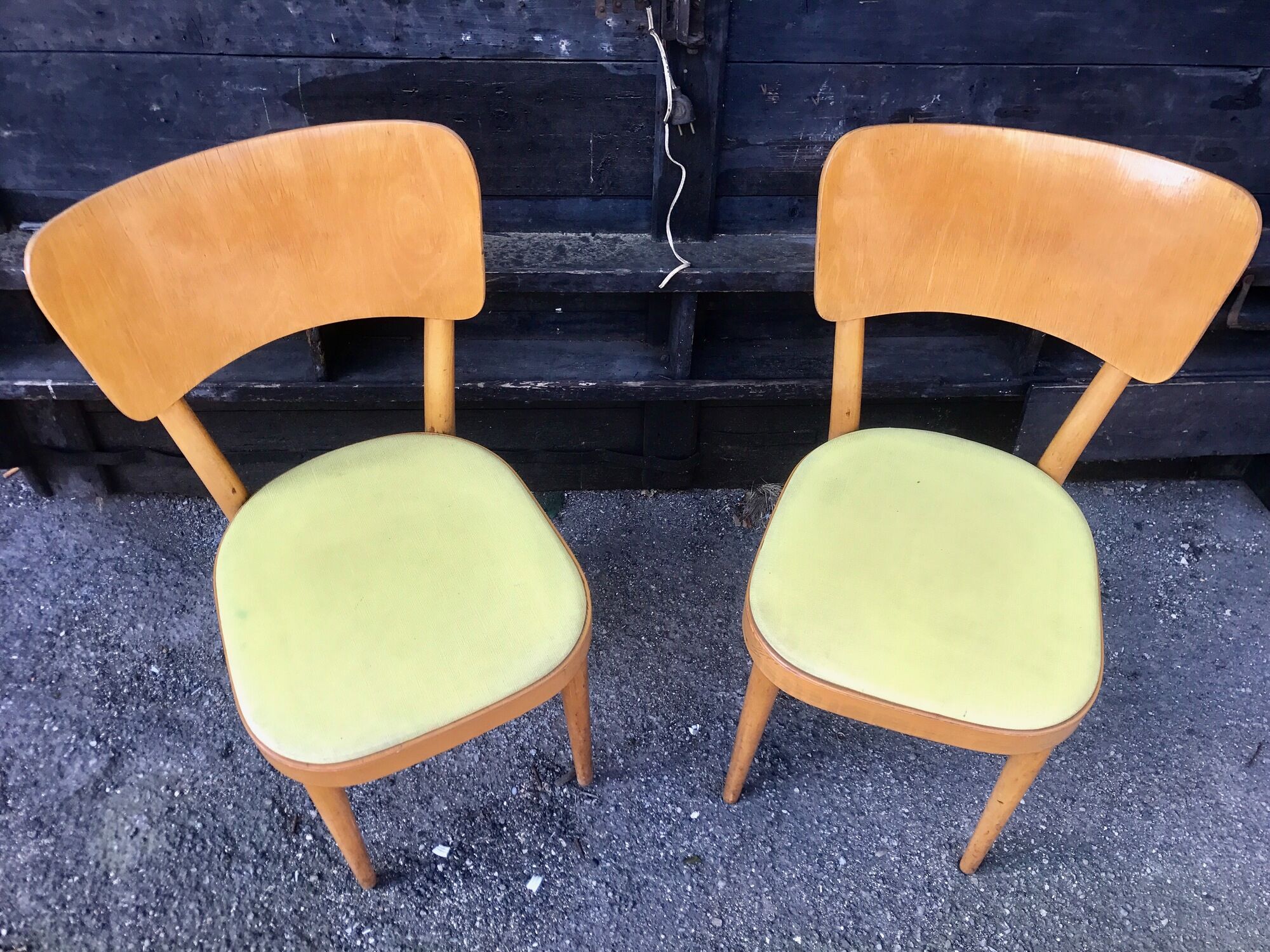 Paire de chaises Baumann en bois et skaÏ jaune vintage