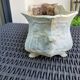 Cast iron planter