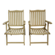 Set of 2 vintage folding armchairs