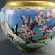 Cloisonné enamel pot cover with floral decoration with heron China Japan