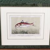 Set of 4 framed prints