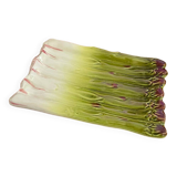 Plat asperge barbotine