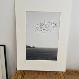 The flight