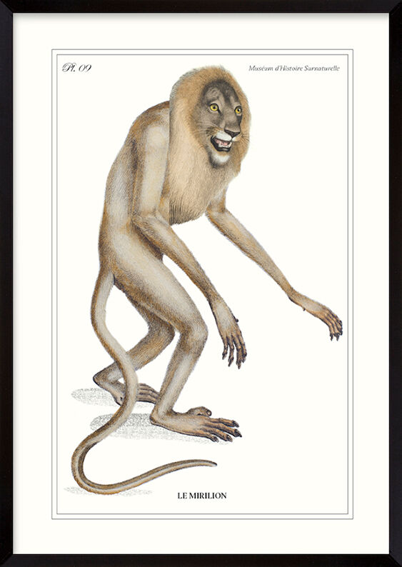 Lithograph engraving animal chimera - the mirilion