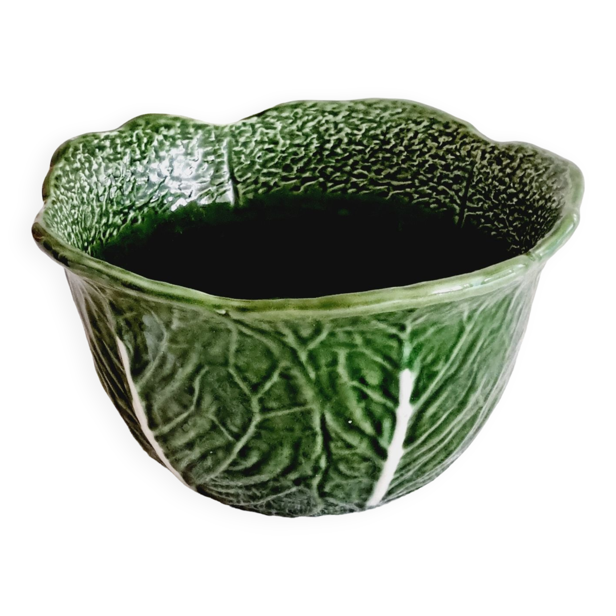 Cabbage slip salad bowl