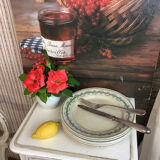 6 assiettes plates anciennes terre de fer