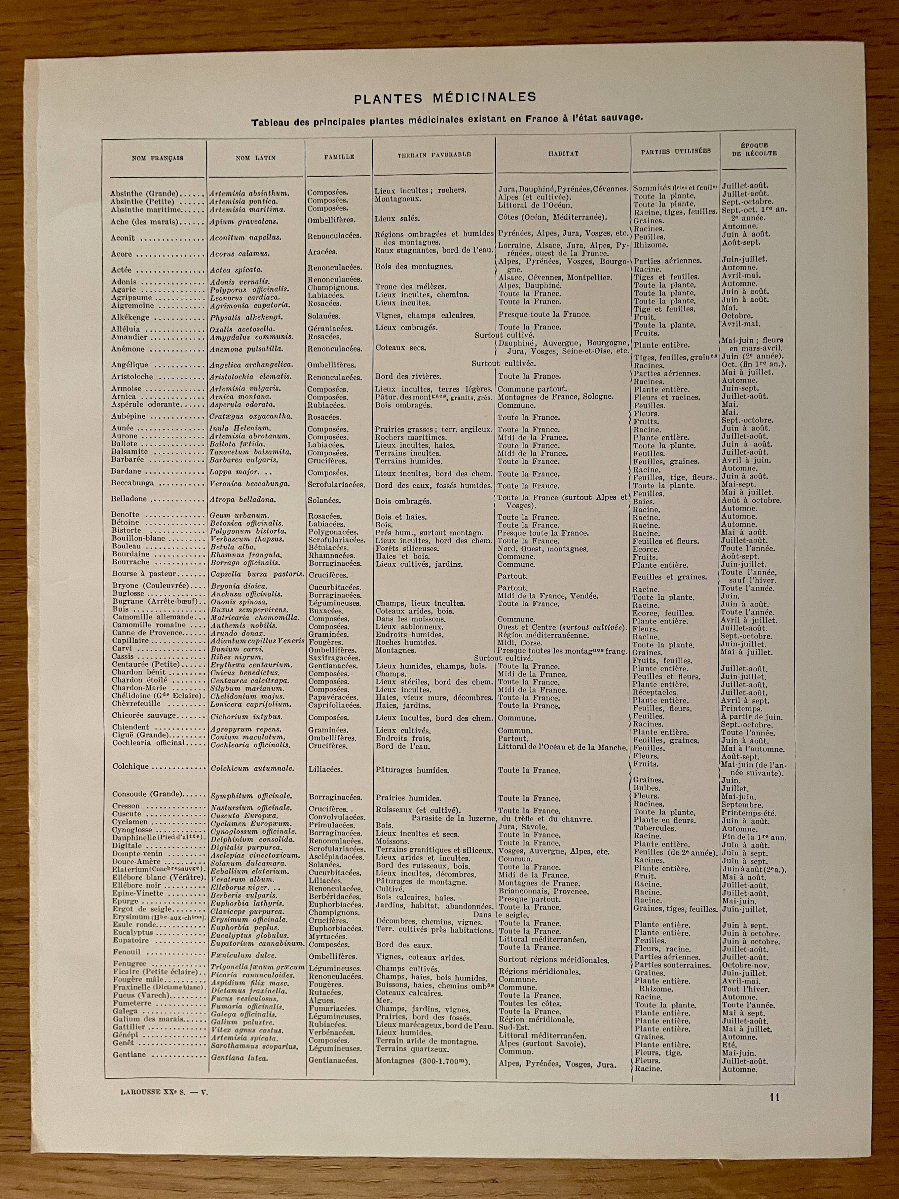Lithograph on medicinal plants (absinthe) - 1930