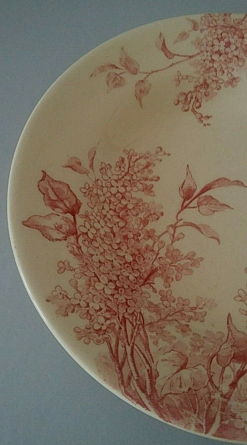 Old hollow plate Gien model Lilas model late 19th century Lilas