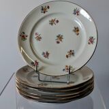 6 dessert plates in French porcelain in good condition.
