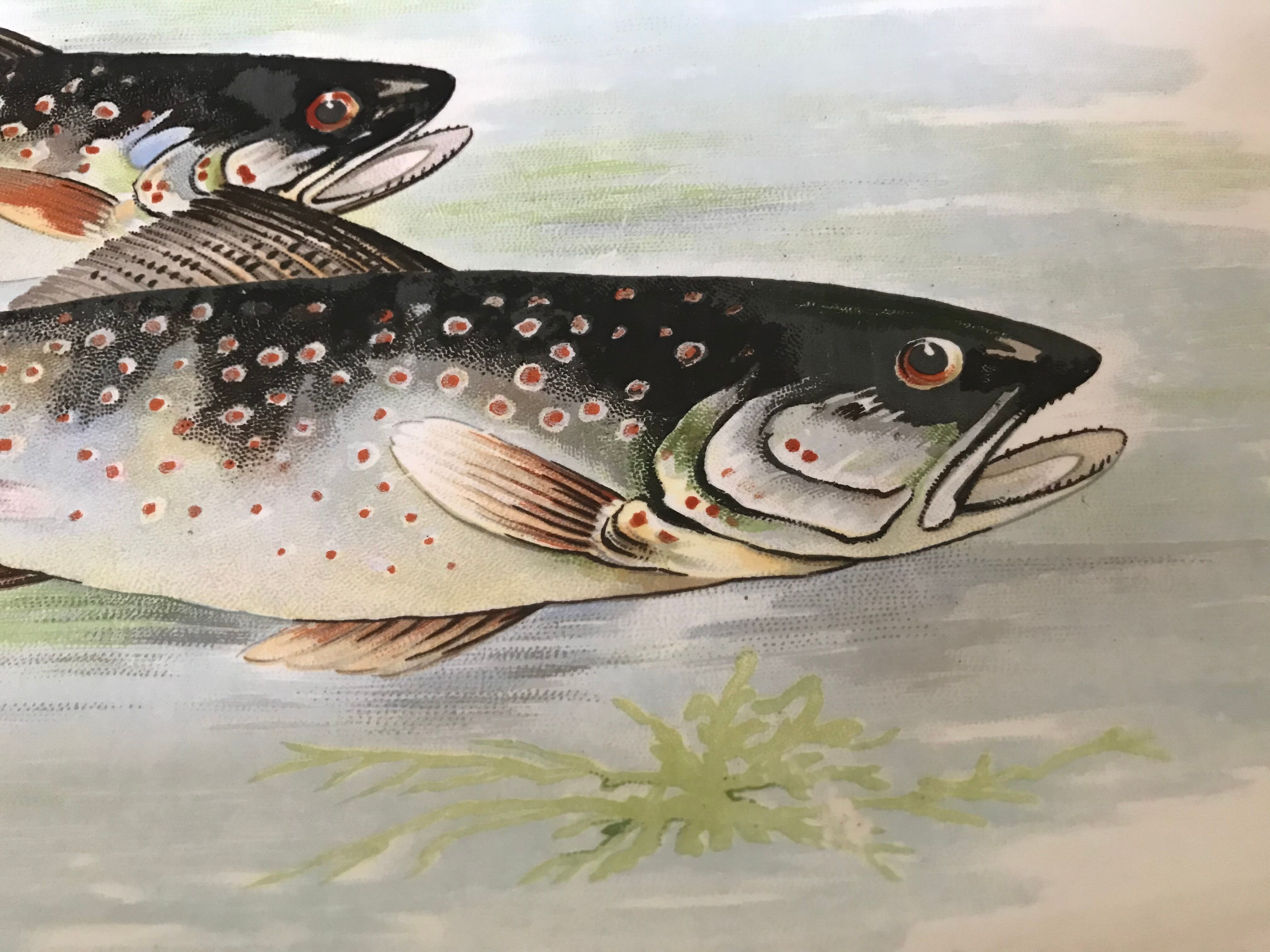 Digoin & Sarreguemines dish