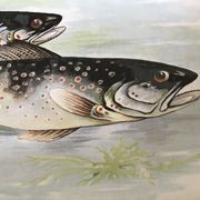Digoin & Sarreguemines dish
