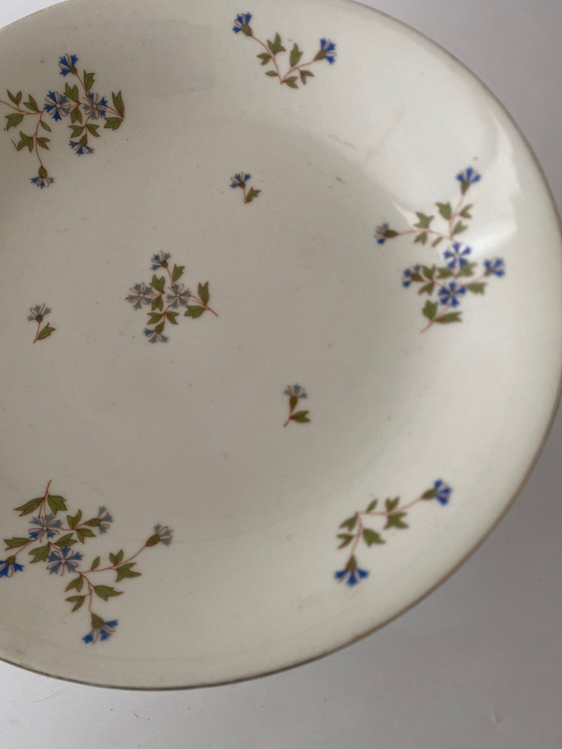 Compotier bleuets Barbeau