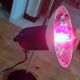 Height adjustable vintage lamp