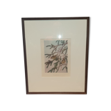 Ornithological engraving