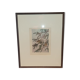 Ornithological engraving