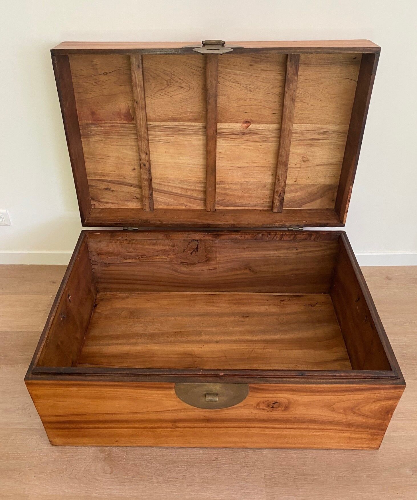 Chinese chest in camphor tree