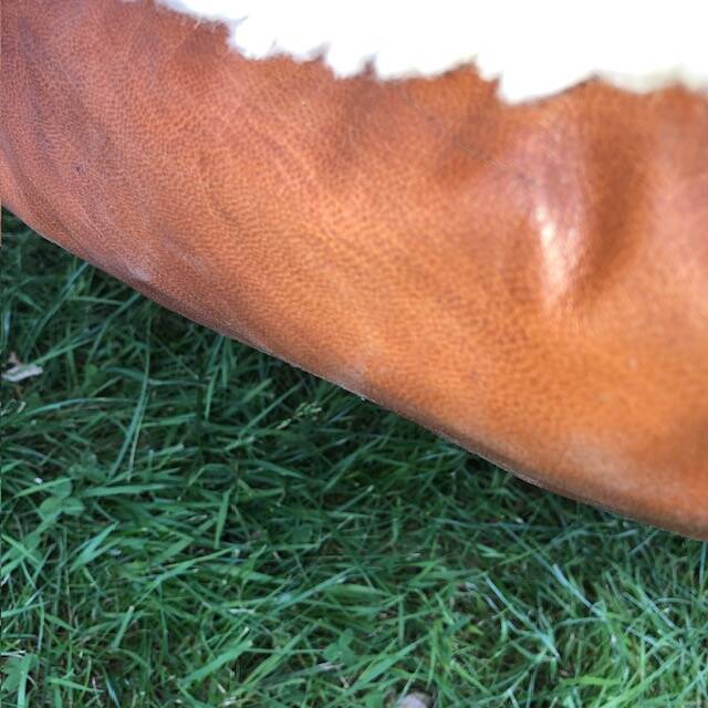 Leather cushion / béni ourain