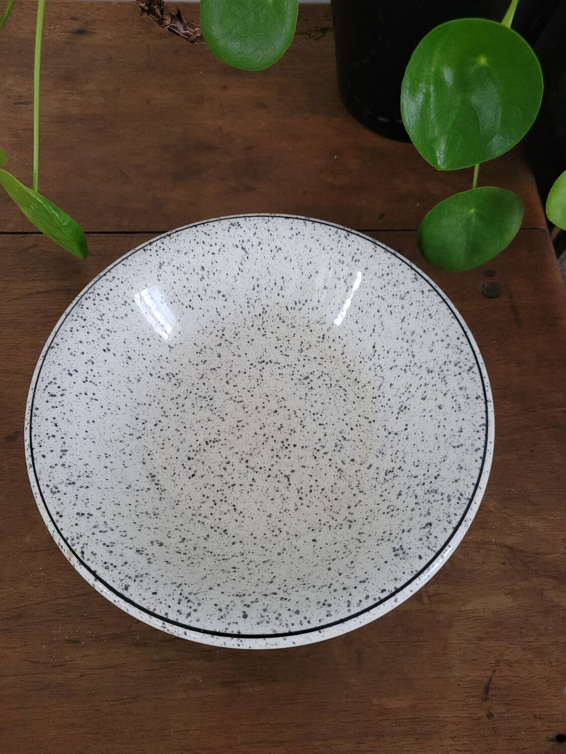 Black speckled soup plate