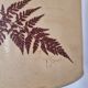 Lampe vintage, abat-jour herbier pied en grès marron