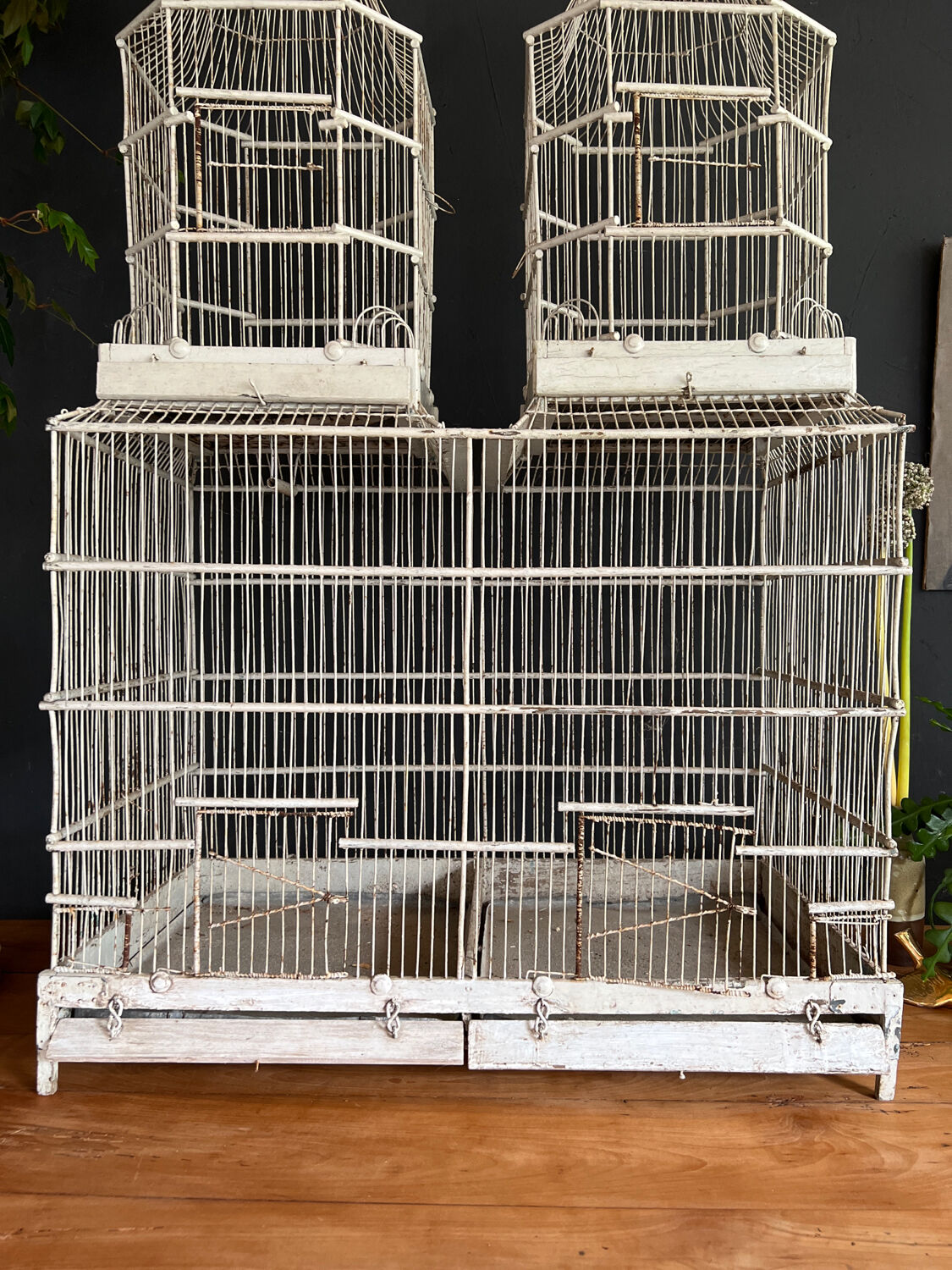 Large old cage napoleon 3