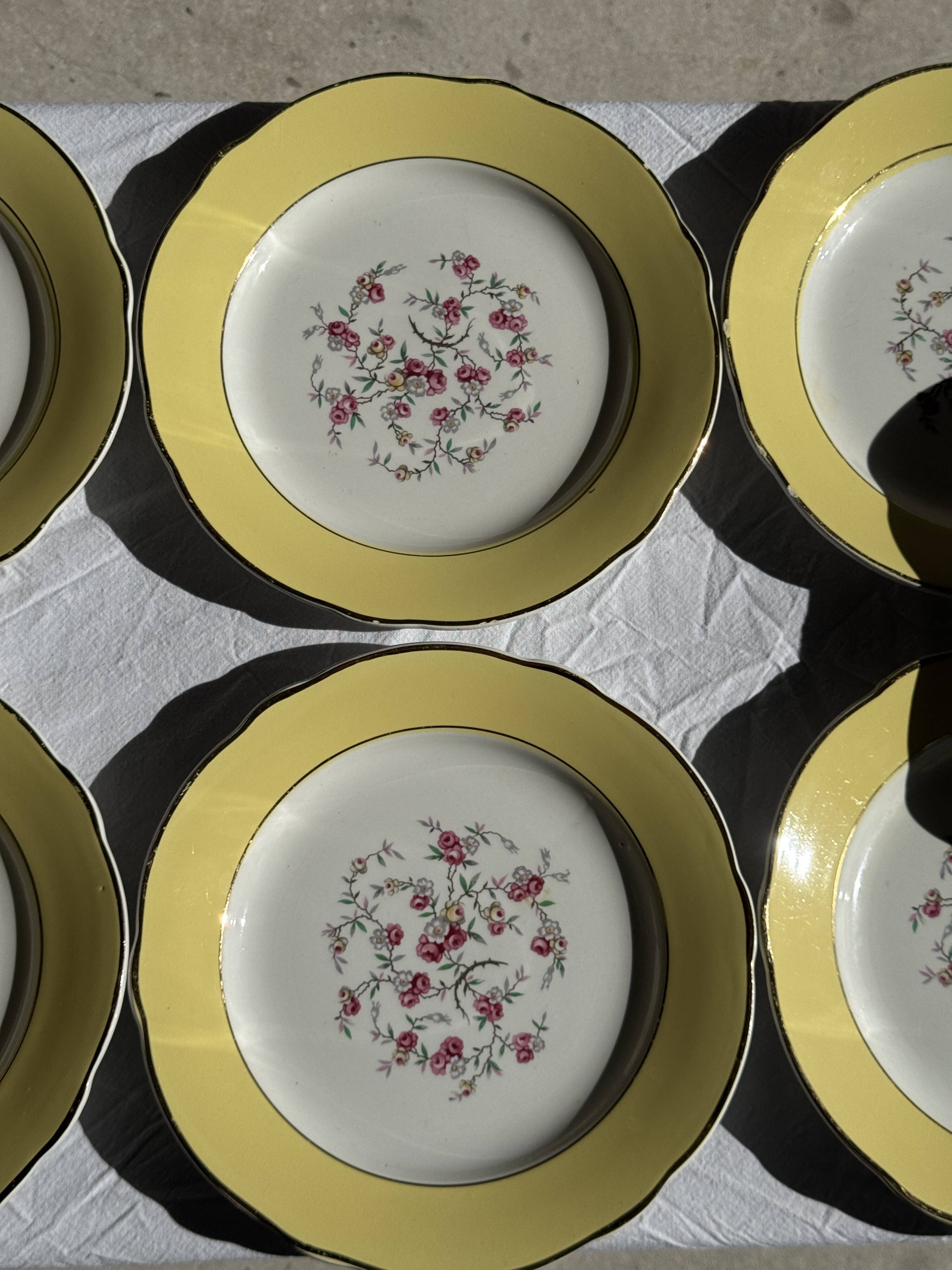 Lot de 19 grandes assiettes plates vintage jaunes fleurs roses liseré doré