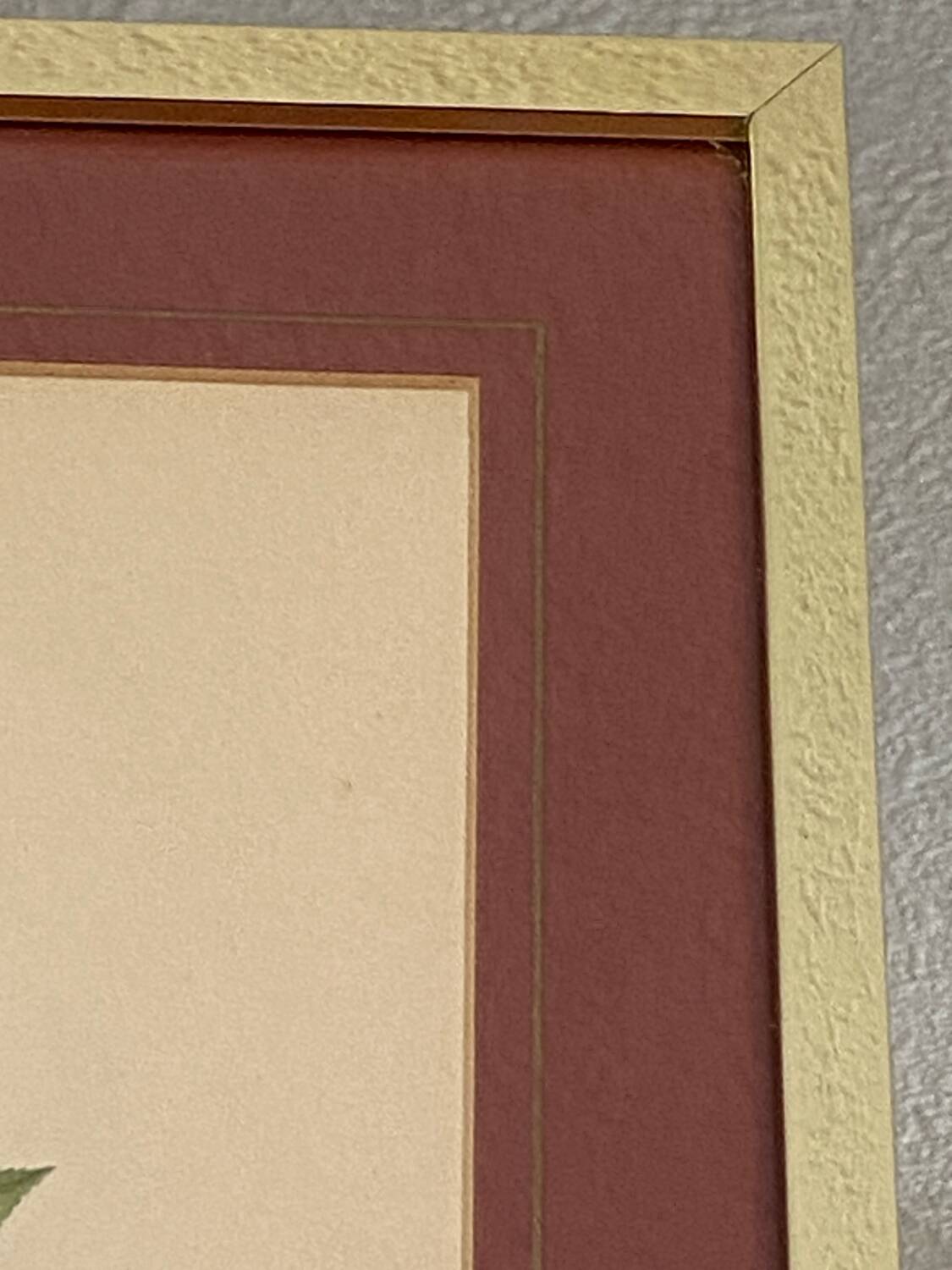 Botanical poster, P-J Redouté, brass frame