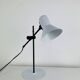Veneta Lumi articulated vintage desk lamp