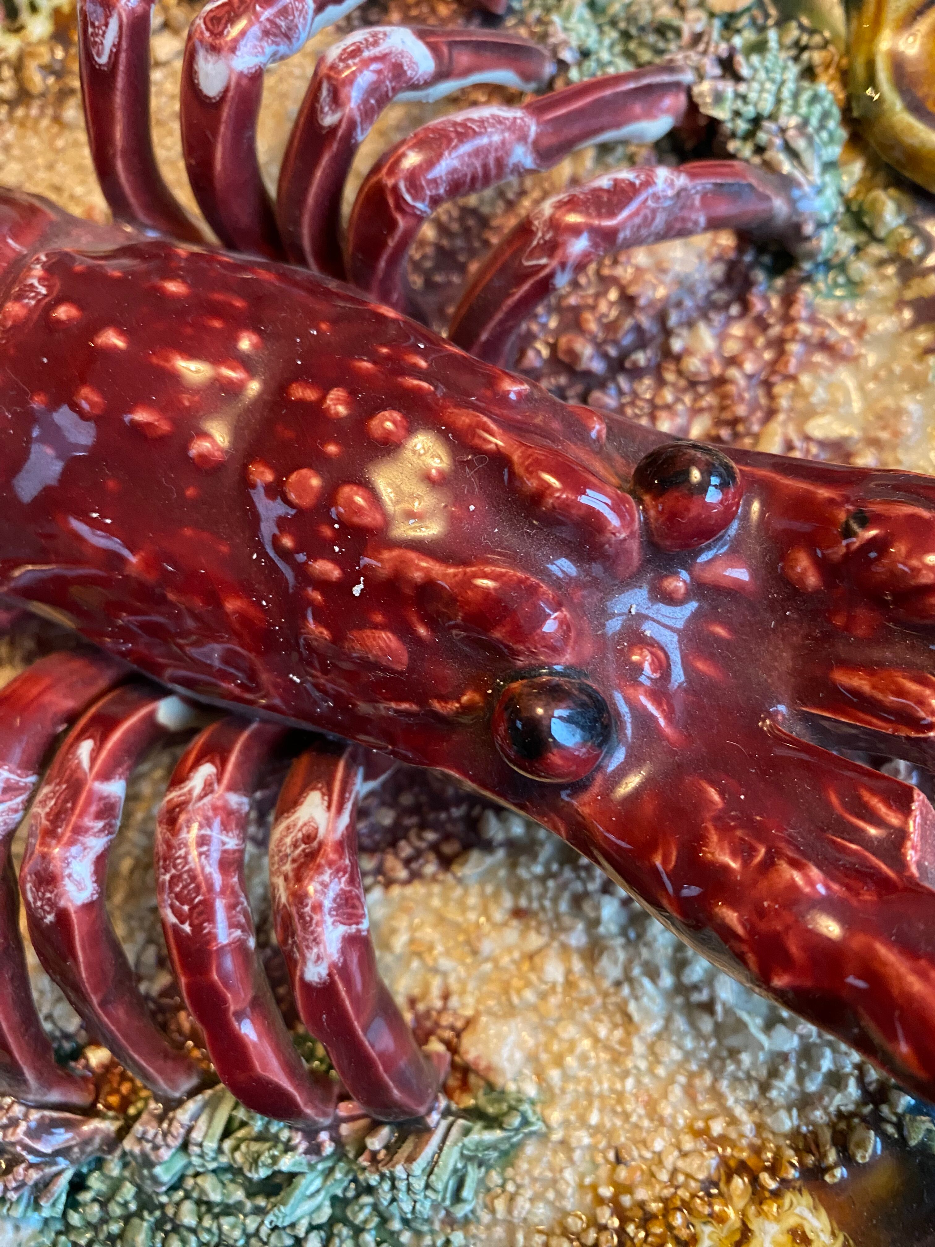 Portuguese Pottery Palissy Ware Plate