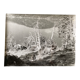 Photo argentique arbre mort devant lac n°4 bernard darot xxe