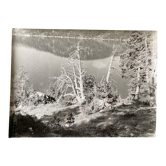 Photo silver dead tree in front of lake n°4 bernard darot xxth